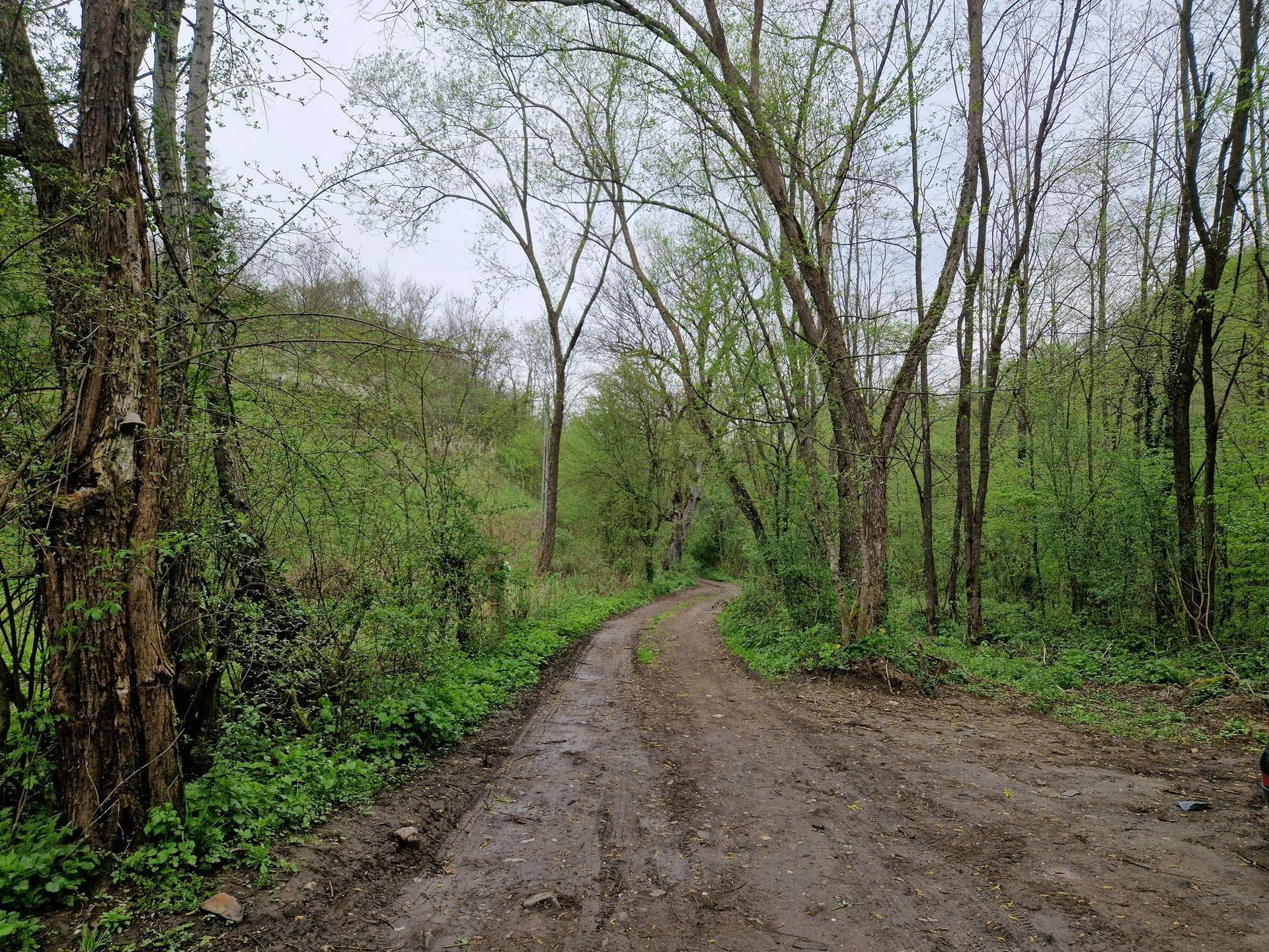 Drumul către fermă. Foto: Răzvan Filip
