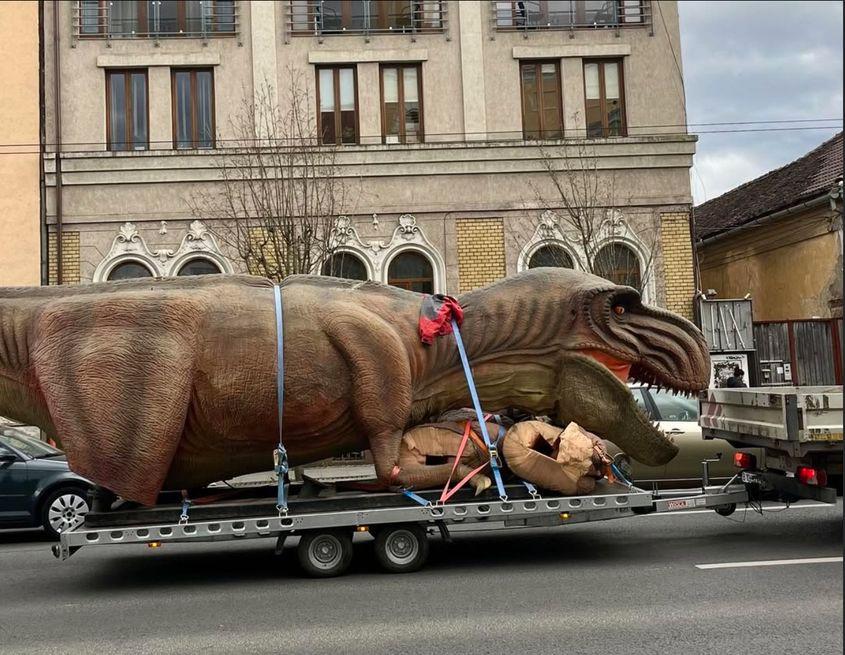 Imagine din timpul filmărilor pentru Kontinental '25. Sursă foto: pagina de Instagram a lui Radu Jude