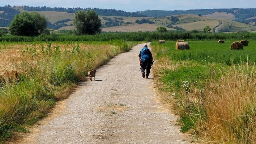 Victor Menaschesz pe Via Transilvania. Foto: Voicu Bojan