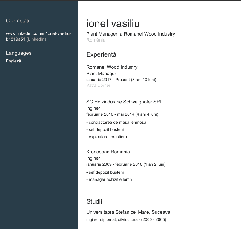 Unul dintre CV-urile postate de Ionel Vasiliu pe LinkedIn. Captură de ecran via LinkedIn
