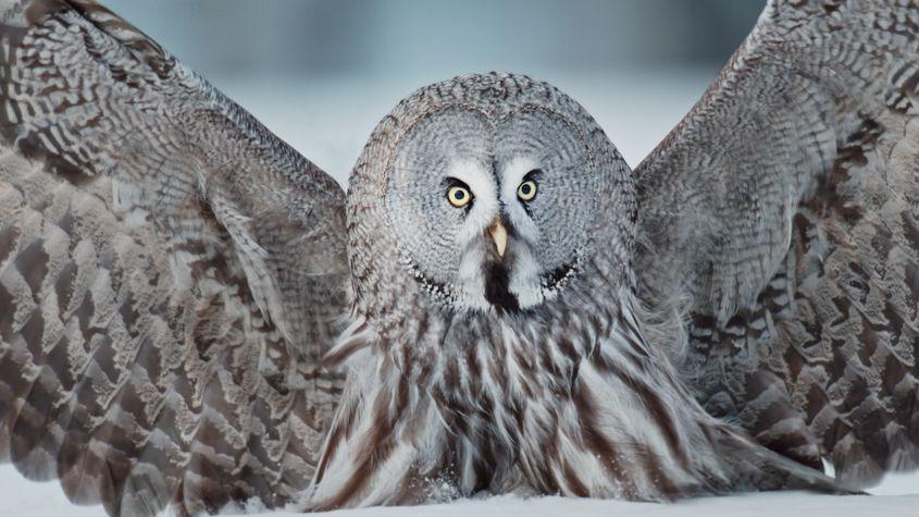 © Christian Baumeister, Light & Shadow GmbH