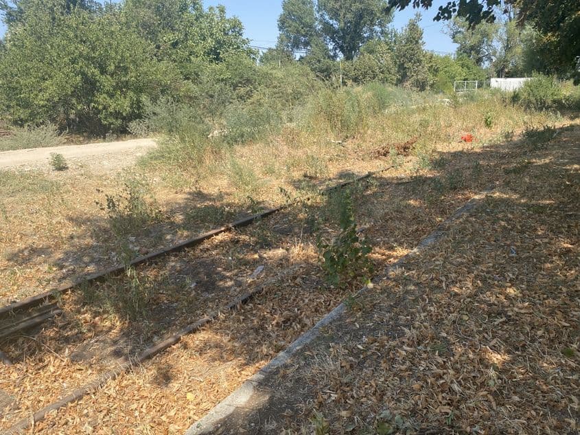 Zona de lângă portul Giurgiu, lăsată în paragină. Foto: Luiza Popovici.