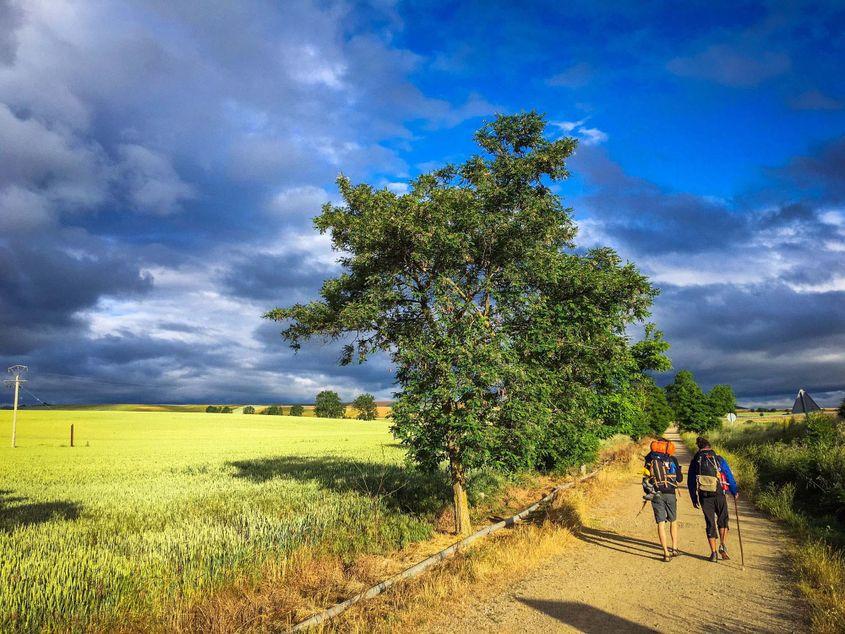 Imagine de pe Camino de Santiago. Foto: Veronica Soare