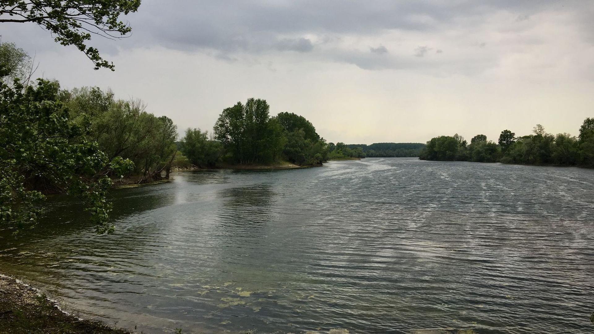 Cui îi trebuie mare când are Dunăre? Foto: Maria Tufan