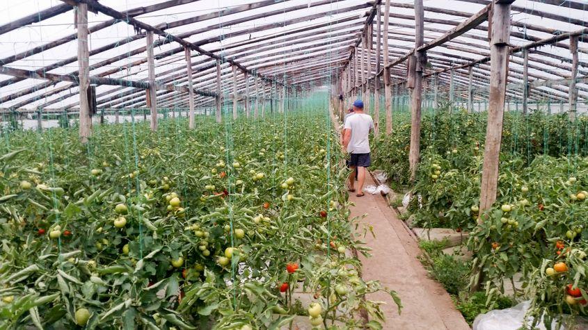 Munca în solarii nu se oprește niciodată.