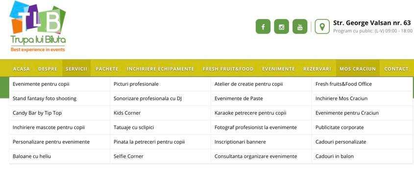 Printre serviciile oferite de EFECT TIM SRL, mai exact Trupa lui Biluta, nu se numără și arta stradală. Foto: captură ecran de pe site-ul firmei.