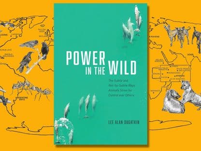 Biologul Lee Dugatkin, despre puterea în lumea animalelor: "Înseamnă accesul la resurse"