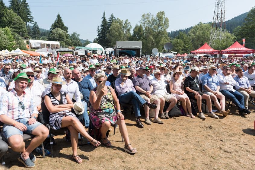 Audiența discursului lui Viktor Orbán la festivalul Tusványos din Harghita, în 2017. FOTO: Raul Ștef.