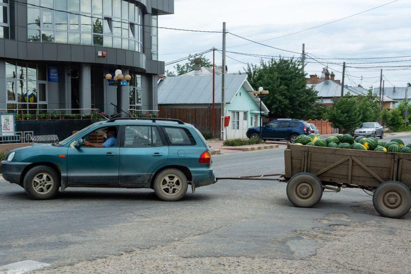 Căruță de un cal putere, trasă de zeci de cai.