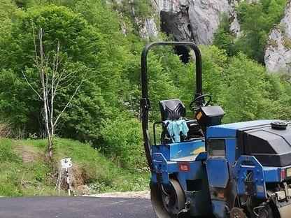 Scenariu de speriat liliecii: asfaltarea unui drum de pământ pune în pericol un sit protejat din Munții Apuseni