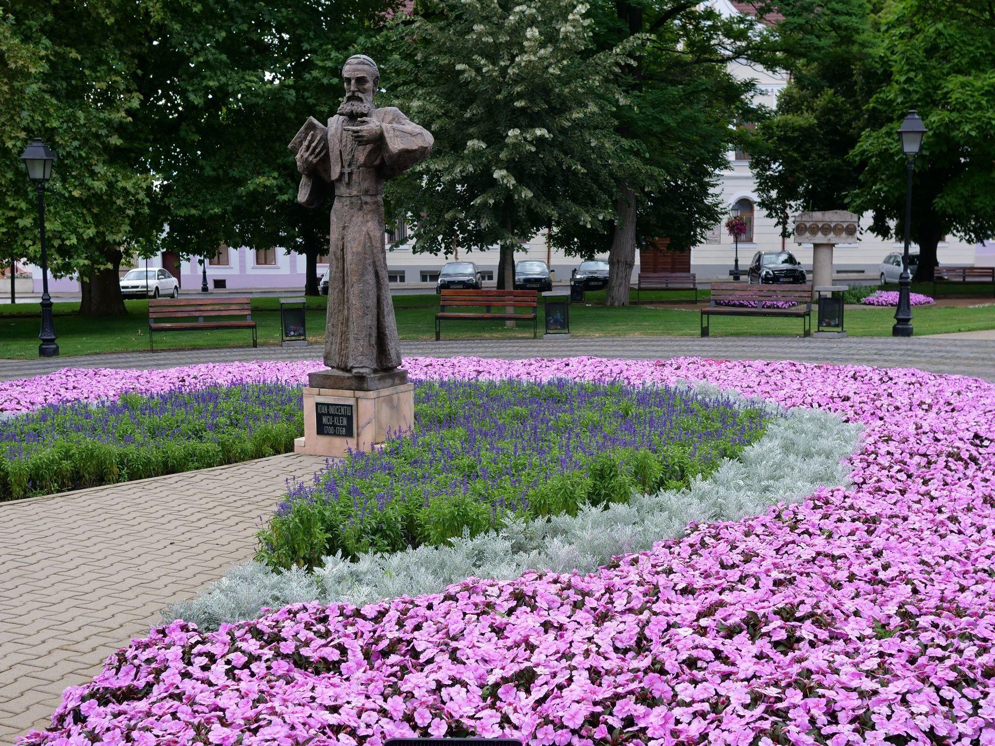 Blajul tot este o pată de culoare