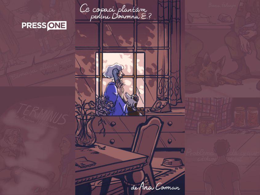 Ilustrație realizată de Simina Popescu, colaj de Lavinia Niță, PressOne