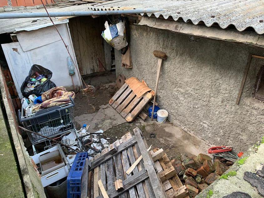 Spatele curții soților Cumpănașu. Foto: <em>grupul de Facebook „Pentru Sectorul 6”</em>