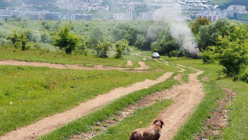 Panoramă înspre pădurea Hoia, teoretic protejată. De fapt, sub asaltul construirilor ilegale. Foto: Voicu Bojan (c)