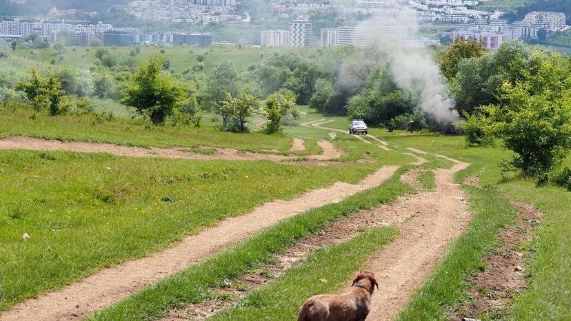 Panoramă înspre pădurea Hoia, teoretic protejată. De fapt, sub asaltul construirilor ilegale. Foto: Voicu Bojan (c)