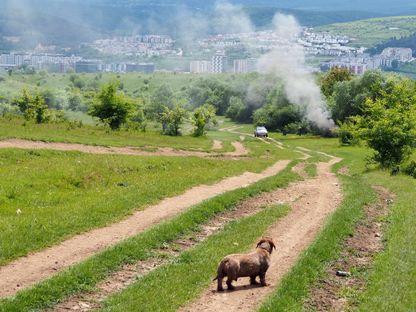 REPORTAJ. Stăpânii Inelului. Clujul distruge pădurile Făget și Hoia, în timp ce strategia pentru verde metropolitan zace într-un sertar