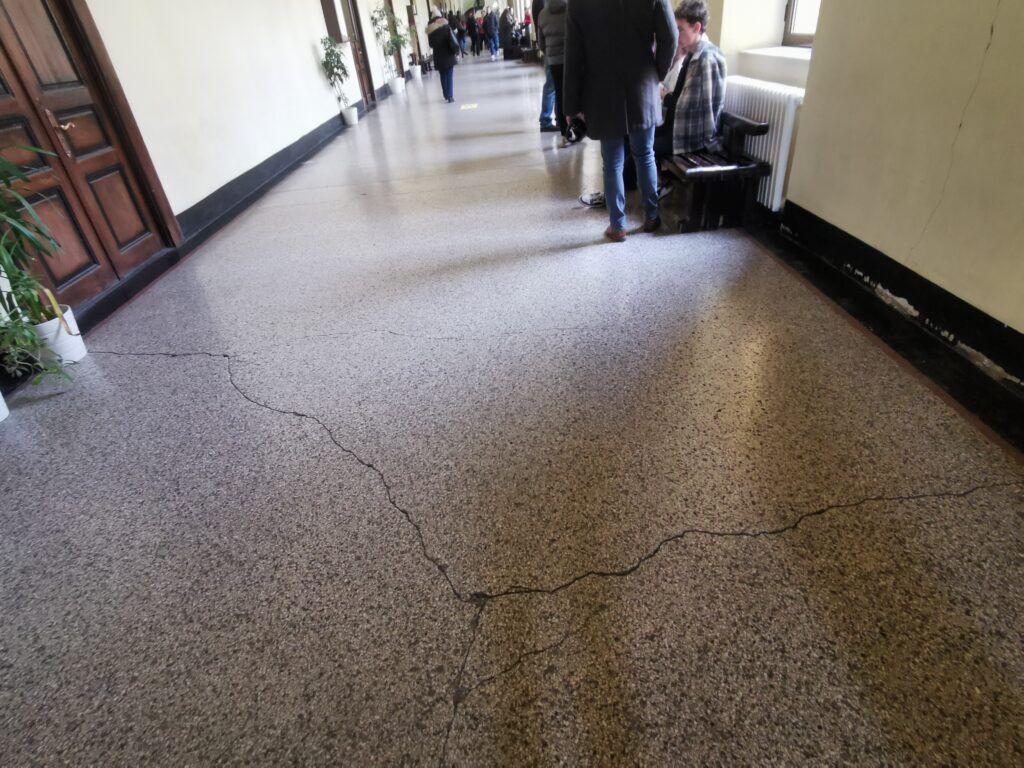 Foto: Miriam Țepeș-Handaric