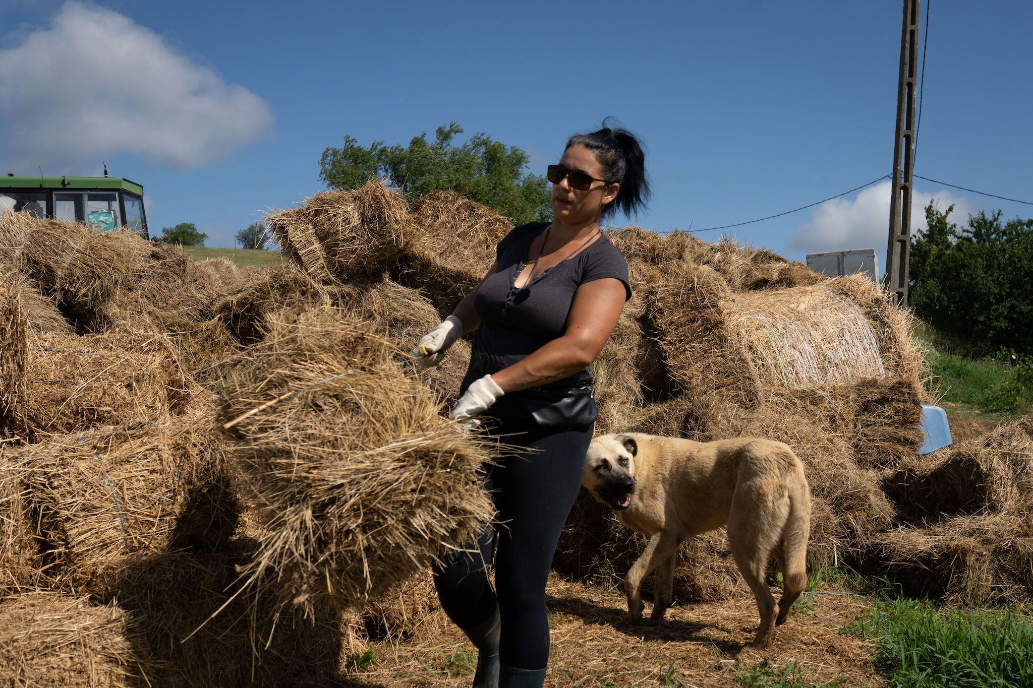 Ancuța Elena Chivu de la Save the Horses Romania hrănește caii pe care îi are în grijă. Foto: Andreea Câmpeanu