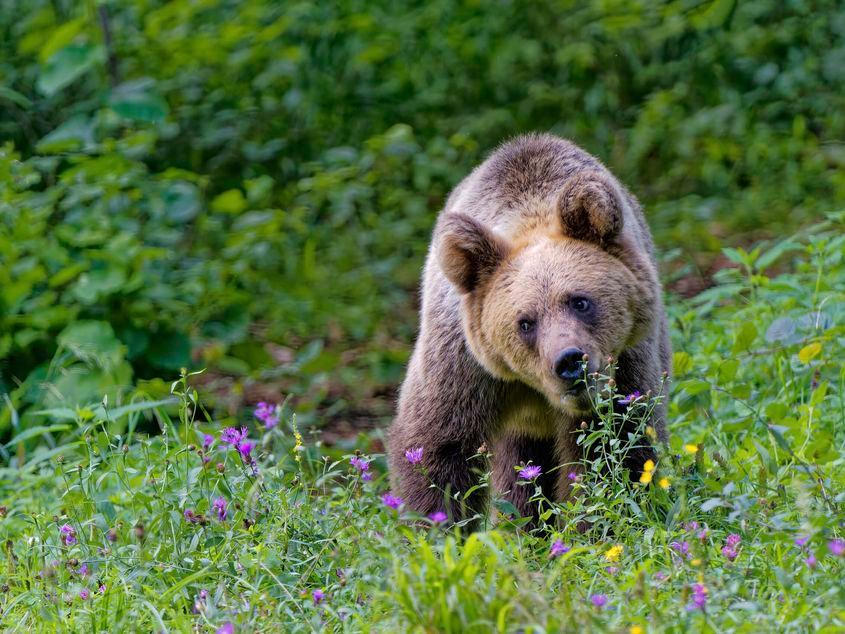 Photo: László Potozky