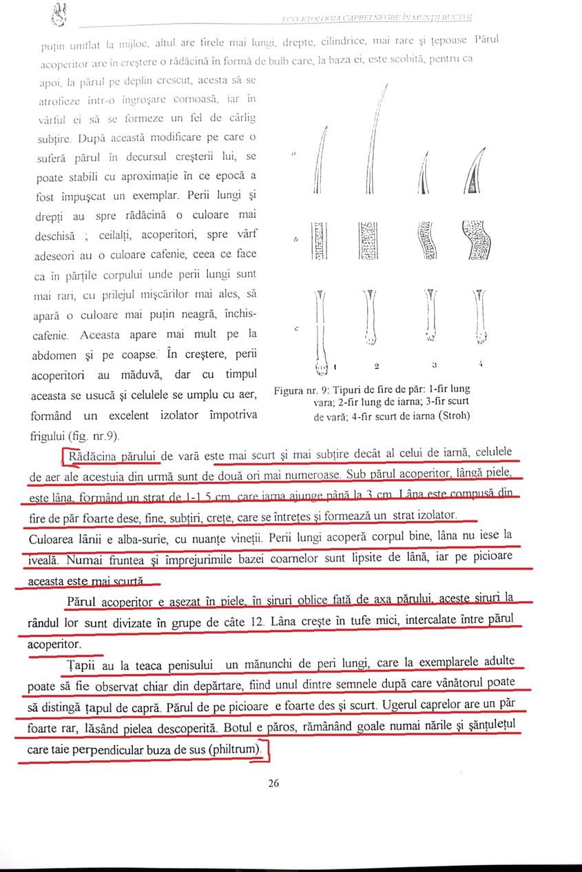 Pagina 26 din lucrarea „incipientă” a lui Ionescu.