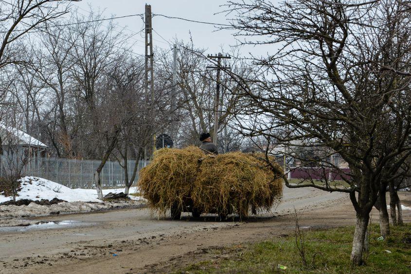 Ultima sută de ani, de când s-a născut sfântul, n-a schimbat multe în Crăiniceni.