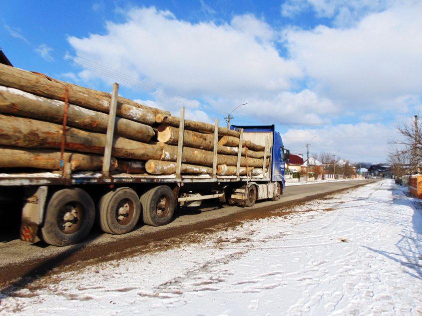 Camion cu lemne în Maramureș. Foto © Herman Vlad | Dreamstime.com