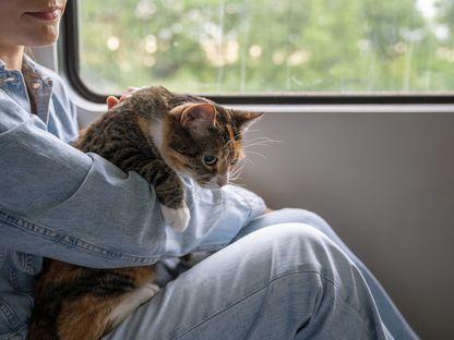 Știri din cealaltă Românie. Locuitorii cu animale de companie din Iași pot circula cu tramvaiul special pentru patrupezi, iar la Sibiu un bărbat s-a judecat cinci ani cu Primăria pentru Dacia 1310 care i-a fost confiscată