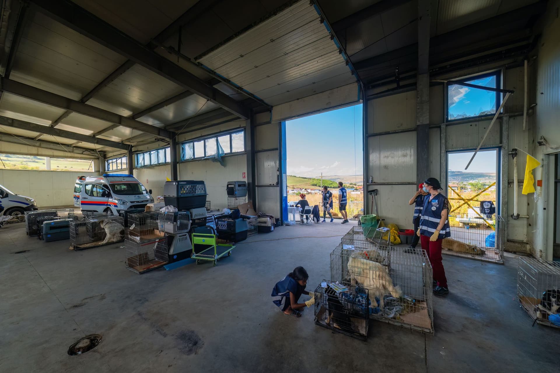 Foto: Loránd Vakarcs