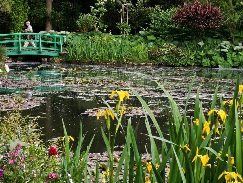 Peisaj din Grădina japoneză creată de Claude Monet la Giverny, Franța. Fotografii: Lucian Muntean