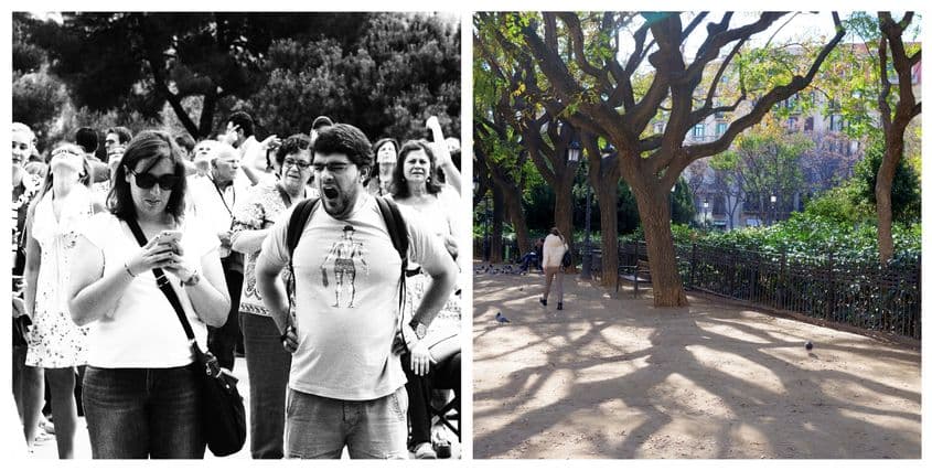 După o noapte lungă, de party, să vizitezi Sagrada Familia e o provocare trăgând a corvoadă. Parcul cu grupuri ghidate geme de lume. Azi, poți admira frumusețe de copaci nebănuiți.