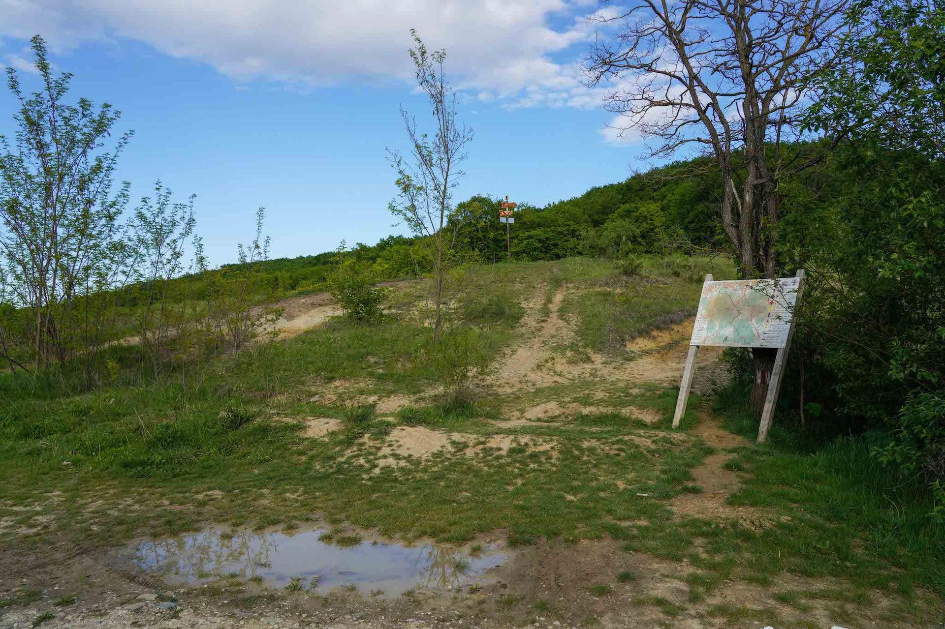 Zona de plimbare, marcată ca atare, dar unde s-a dat aviz de construire în mijlocul pădurii Făget. Foto: Raul Ștef (c)