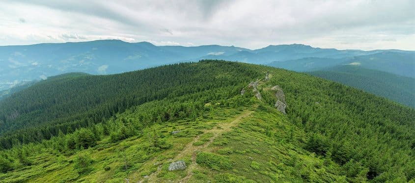 Zona Munților Călimani în care biologul Ionuț Ștefan Iorgu a descoperit cosașul bucovinean. Foto: Ionuț Ștefan Iorgu