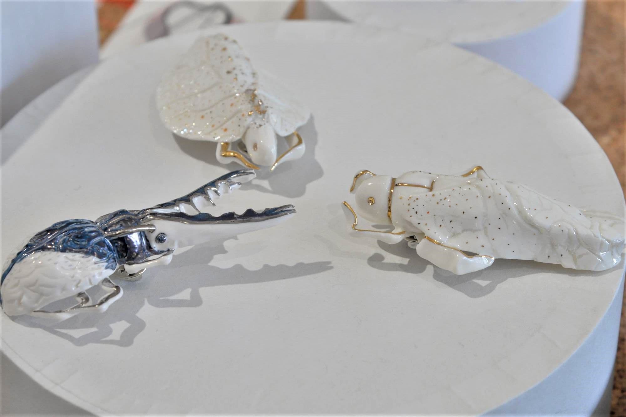 Maria Paltin. Foto Lucian Muntean