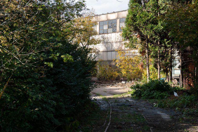 Carbochim. Foto: Raul Stef