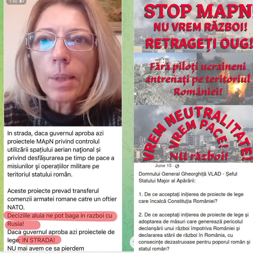 Colaj mesaje Elena Radu/CASD, Telegram și Facebook