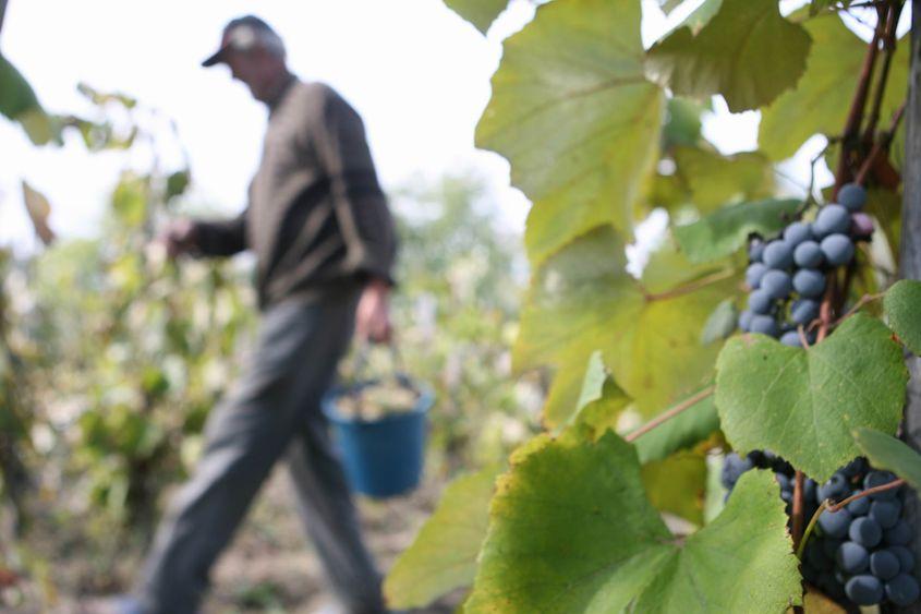 Foto: Lucian Muntean