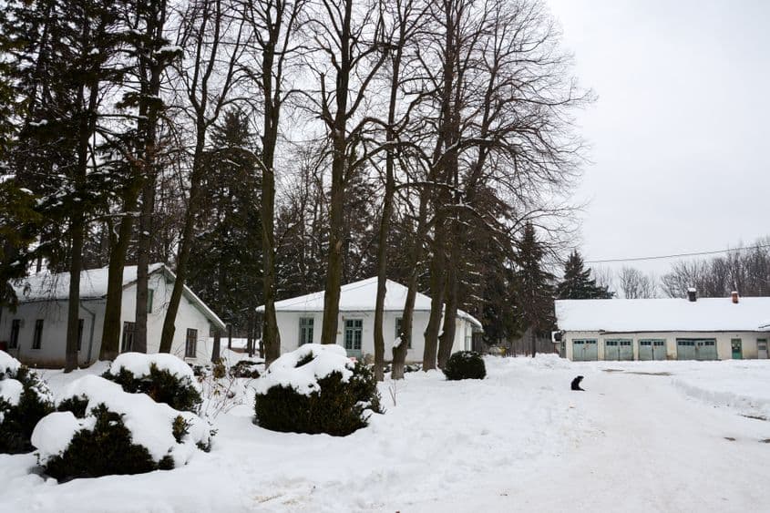 Drumul bolnavilor de Alzheimer, maladie fără leac, se oprește la morgă.