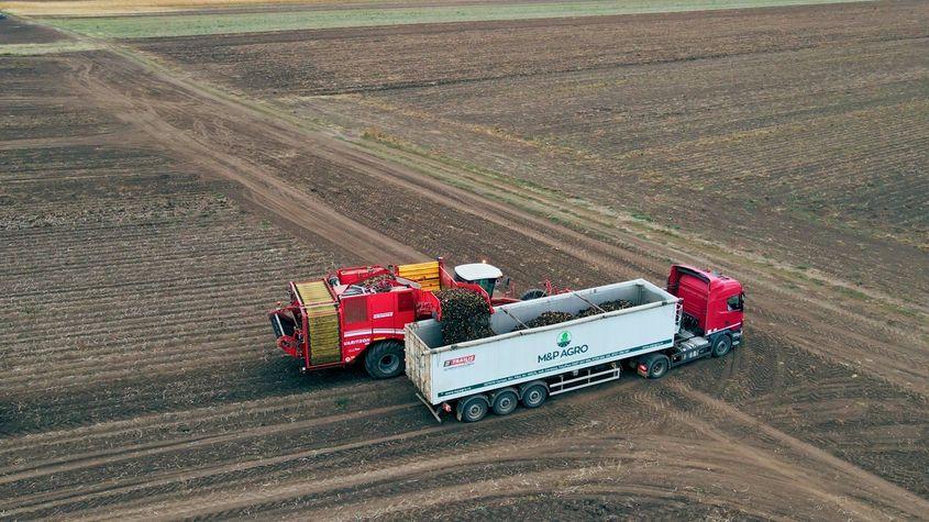 Ferma M&P Agro