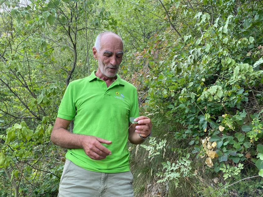 Gheorghe Lungu, ranger în Parcul Național Domogled-Valea Cernei, pe drumul spre Crucea Albă. Foto: Oana Moisil