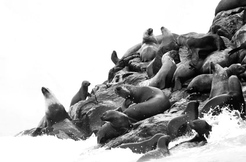 © Gabriel Șerban / gabrielserbanphoto.com