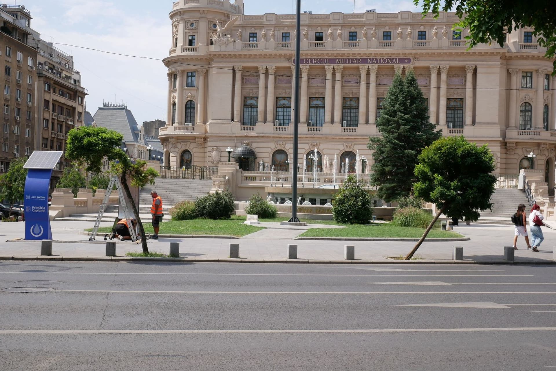 Pe Calea Victoriei, unii arbori cu coroane menținute artificial au început să se încline, semn că sunt prost îngrijiți. Foto: Norbert Nemeș