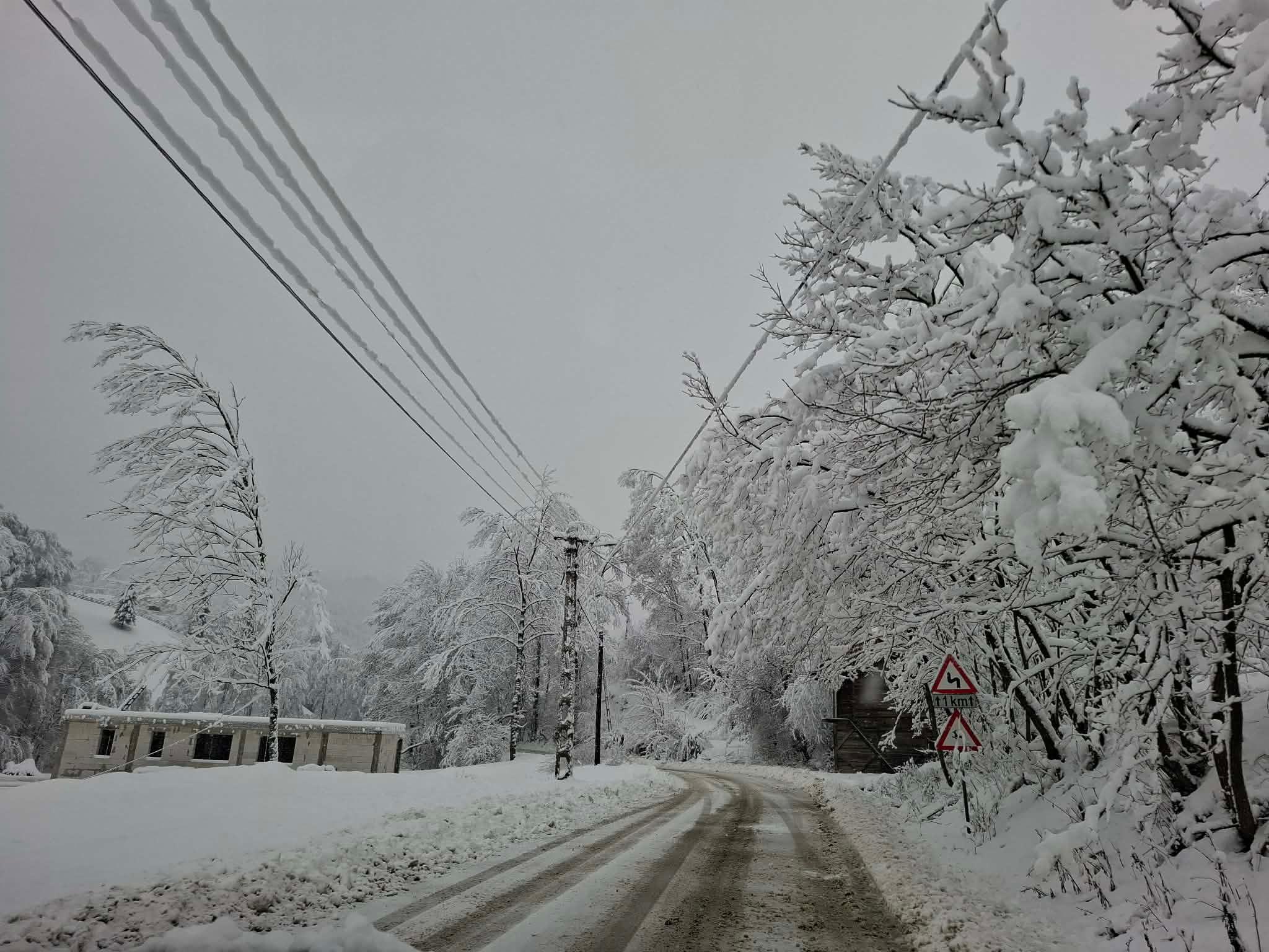Drum și linii de electricitate în zona Sohodol, Alba, după căderile masive de zăpadă din ianuarie 2026. Foto: Raluca Abrudan