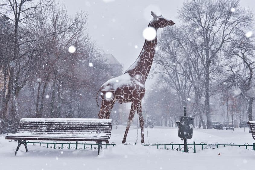 Foto: Lucian Muntean