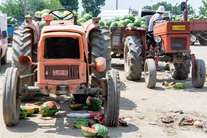 Cu tractoare preistorice se face agricultură în mileniul 3.