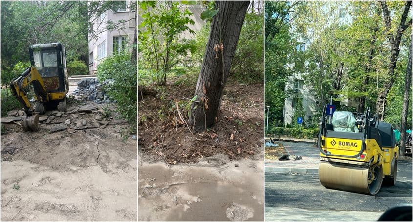 Sursă foto: Alex Icodin