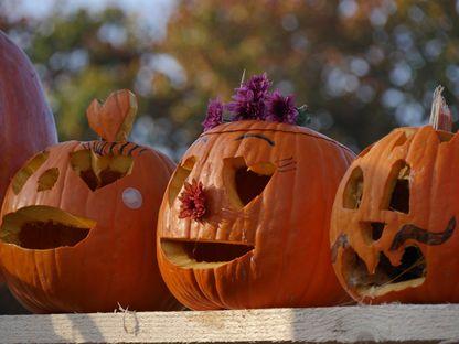 Fotoreportaj: dovlecii, Halloweenul și bucureștenii