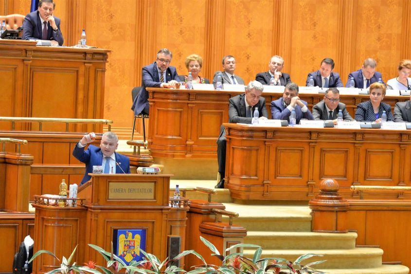 Deputatul liberal Florin Roman. Foto: Lucian Muntean