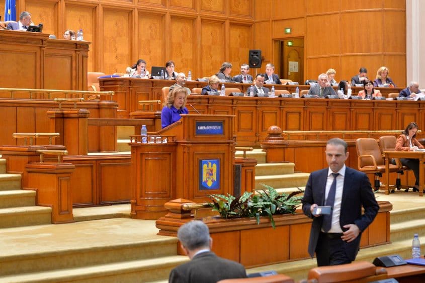 Sanda Maria Ardeleanu își îndeamnă colegii din PNL să voteze pentru proiect.