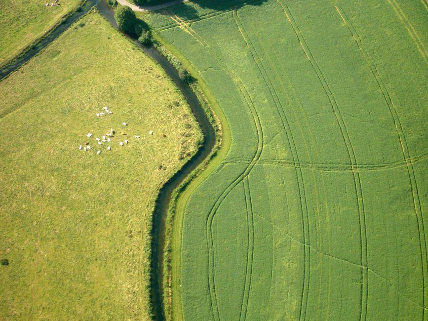 România are peste 9 milioane de hectare de teren agricol. Foto: Lucian Muntean