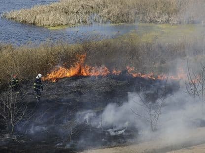 Administrație vs. asociație. Cum arde Parcul Văcărești în timp ce Primăria București refuză să colaboreze cu echipa care l-a gestionat timp de zece ani